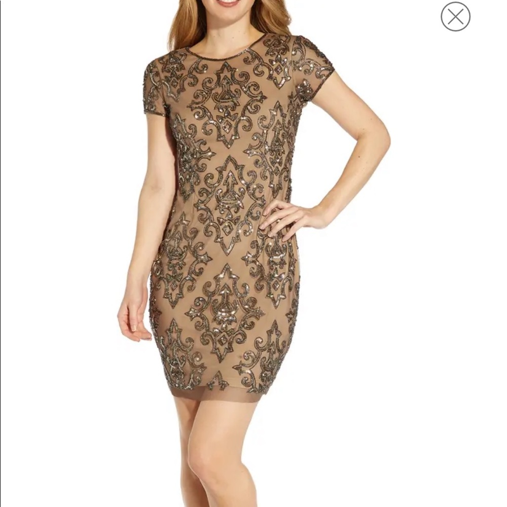 Adrianna papell dress
